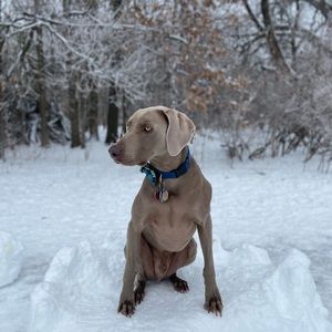 Meet your Posher, John